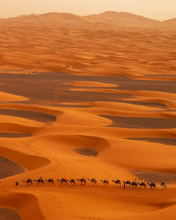 Scenic view of desert against clear sky during sunset