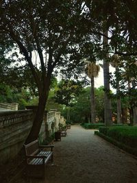 Trees in park against sky