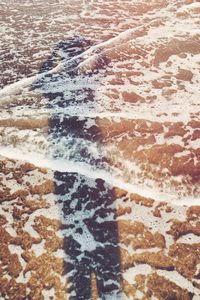 Full frame shot of leaves