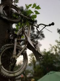 Low angle view of bicycle on tree against sky