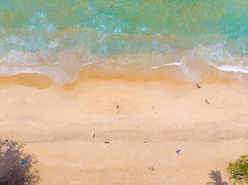 Aerial view of people on beach