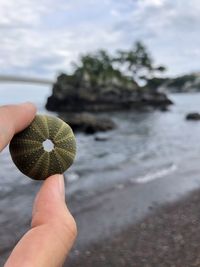 Midsection of person holding crystal ball on beach