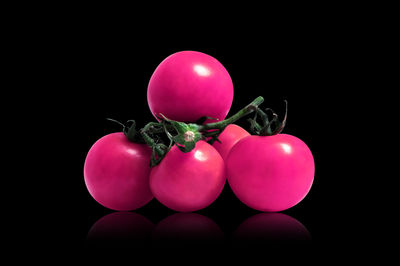 Close-up of tomatoes against black background