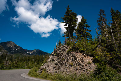 Road amidst trees and plants against sky