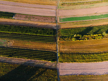 View of agricultural field