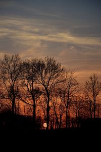 Silhouette bare trees on field against sky during sunset