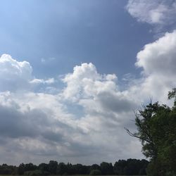 Low angle view of trees against cloudy sky