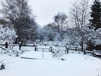 Snow covered trees against sky