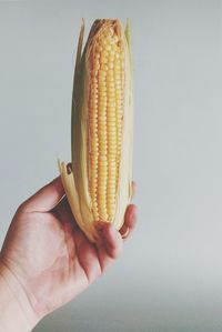 Midsection of person holding ice cream against white background