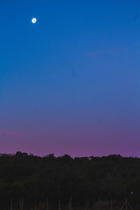 Silhouette trees against sky at night