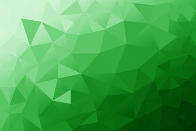 Full frame shot of multi colored leaves