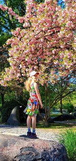 Full length of woman standing by flowering tree