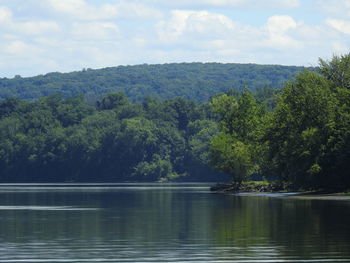 Scenic view of lake by trees against sky