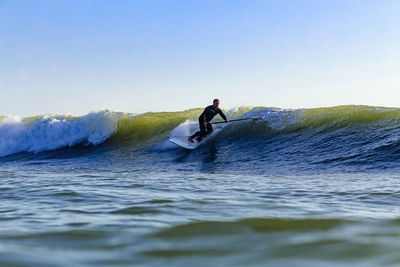 Male sup surfer at sunset time