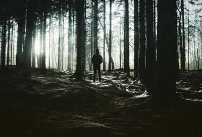 Silhouette of man in forest