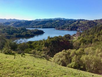 Scenic view of lake and trees against clear sky