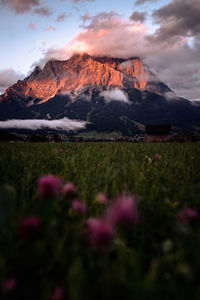 Scenic view of field against sky during sunset