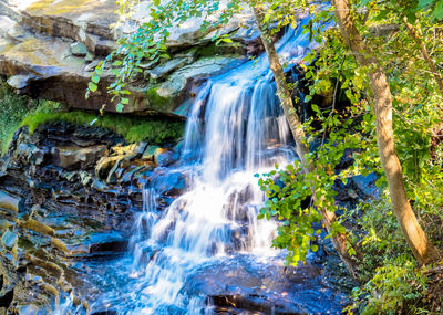 View of waterfall in forest