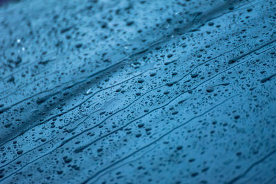 Full frame shot of raindrops on blue glass