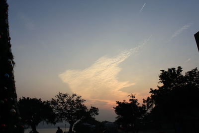 Low angle view of silhouette trees against sky during sunset