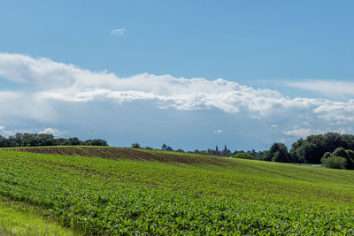 Scenic view of agricultural field against sky