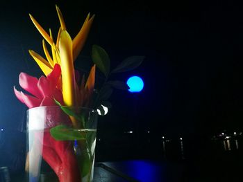 Close-up of flower bouquet on glass wall