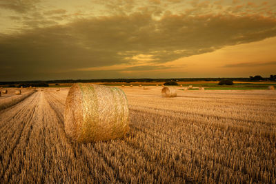 Hay bales in the large field and evening clouds during sunset