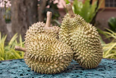 Durian in background. long stem or kan yao durian.