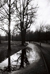 Bare trees by road against sky during winter