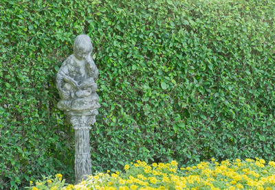 View of statue of flowering plants