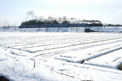 Snow covered field against sky