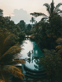 People swimming in pool by trees against sky