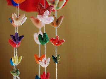 Close-up of flowers