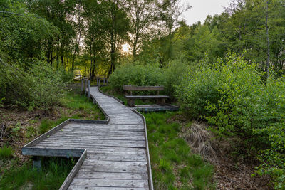 Hiking trail on wooden boardwalks through the todtenbruch moor in the raffelsbrand region 