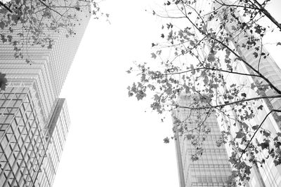 Low angle view of tree and buildings against sky