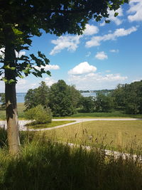 Scenic view of field against sky