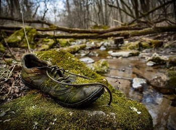 Close-up of shoes on rock