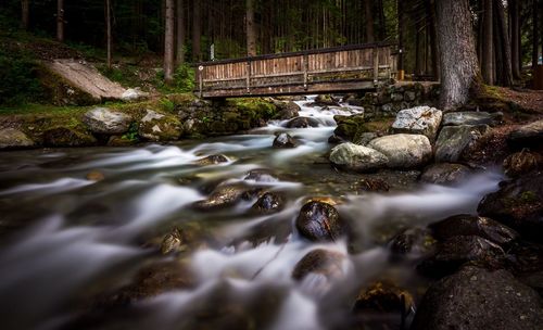 Stream flowing through rocks in forest