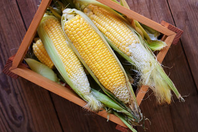 Close-up of corn