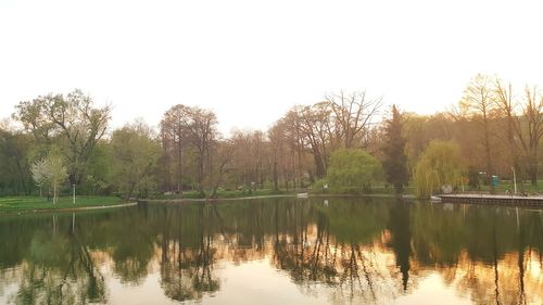 Reflection of trees in lake against clear sky