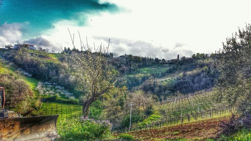 Scenic view of field against cloudy sky