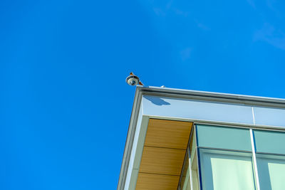 Low angle view of bird perching on building against clear blue sky