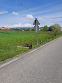 Road amidst field against sky