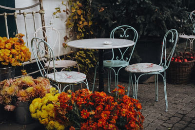 Autumn decor in a street cafe