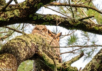 Mom and youngest child