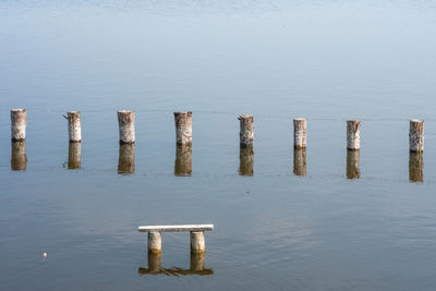 High angle view of wooden posts in lake
