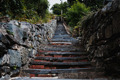 Steps amidst trees against sky