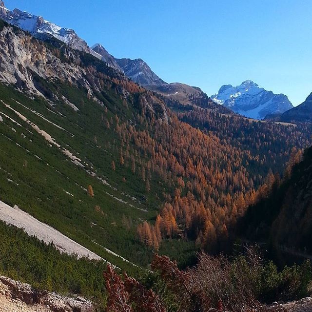 mountain, clear sky, mountain range, landscape, tranquil scene, tranquility, blue, scenics, beauty in nature, nature, non-urban scene, copy space, remote, road, grass, countryside, day, sunlight, sky, outdoors