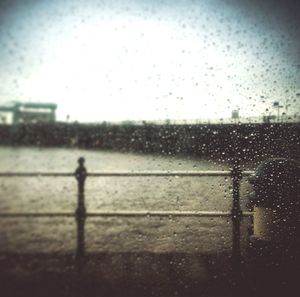 Close-up of raindrops on rainy day