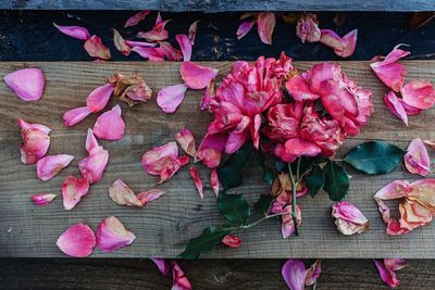 Close-up of pink roses